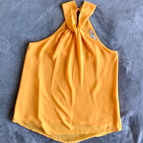 Naked Zebra Top - Picture 4 of 6